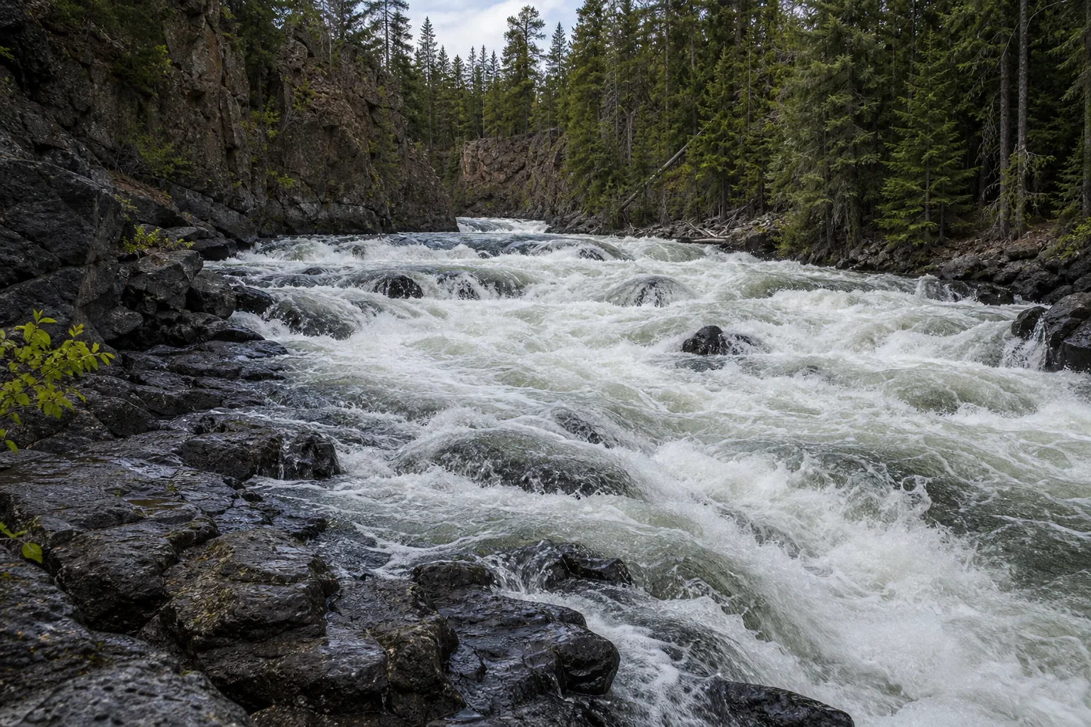 Benham Falls below the main horizon: the deschutes accelerates through the narrow basalt slot at the heart of the class v drop
