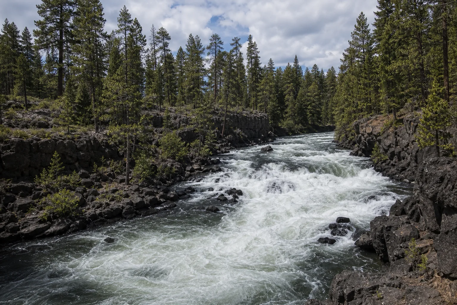 Benham Falls wide gorge view of the class v rapid stepping through basalt walls under ponderosa pine on the upper deschutes