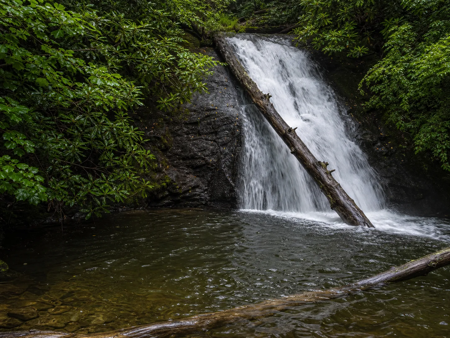 Blue Hole Falls base of the cascade and the entry to the blue hole pool