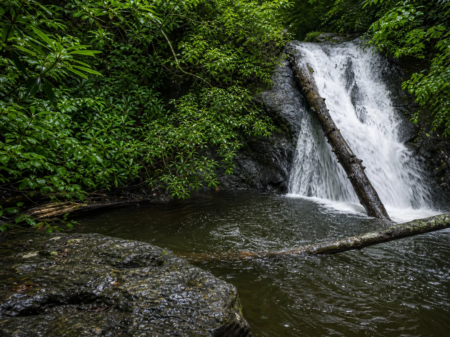 Blue Hole Falls water and rock detail showing Blue Ridge schist and gneiss in the slanted cascade chute
