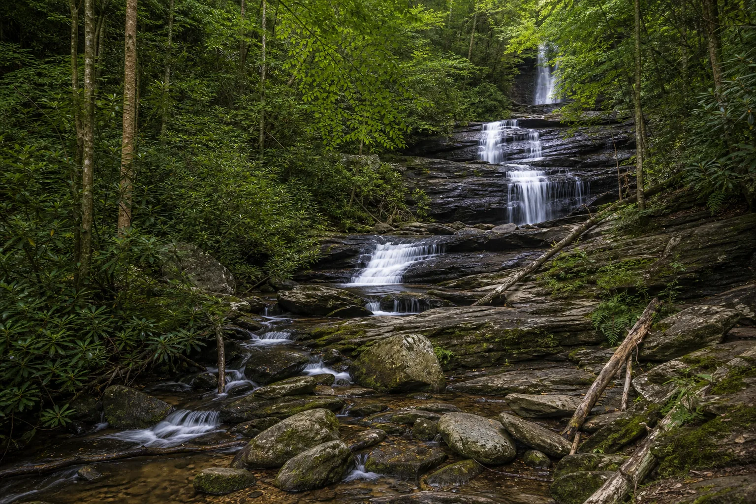 DeSoto Falls upper falls multi-tier cascade through the rhododendron understory along frogtown creek