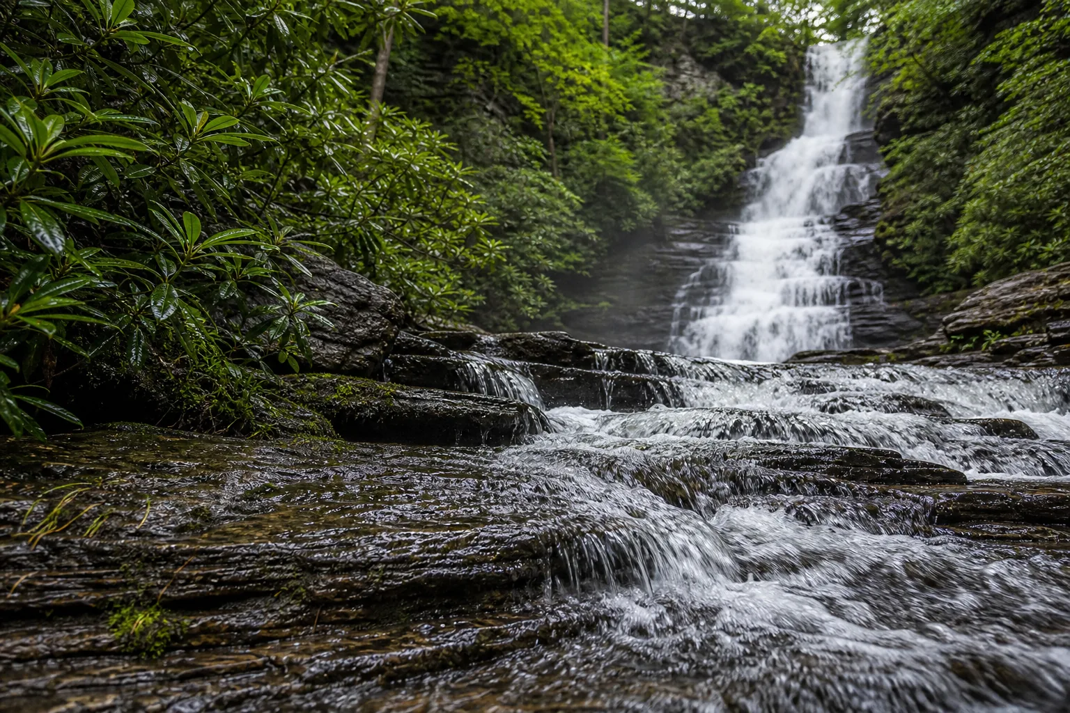 Dingmans Falls water and Mahantango Formation bedding-plane rock detail