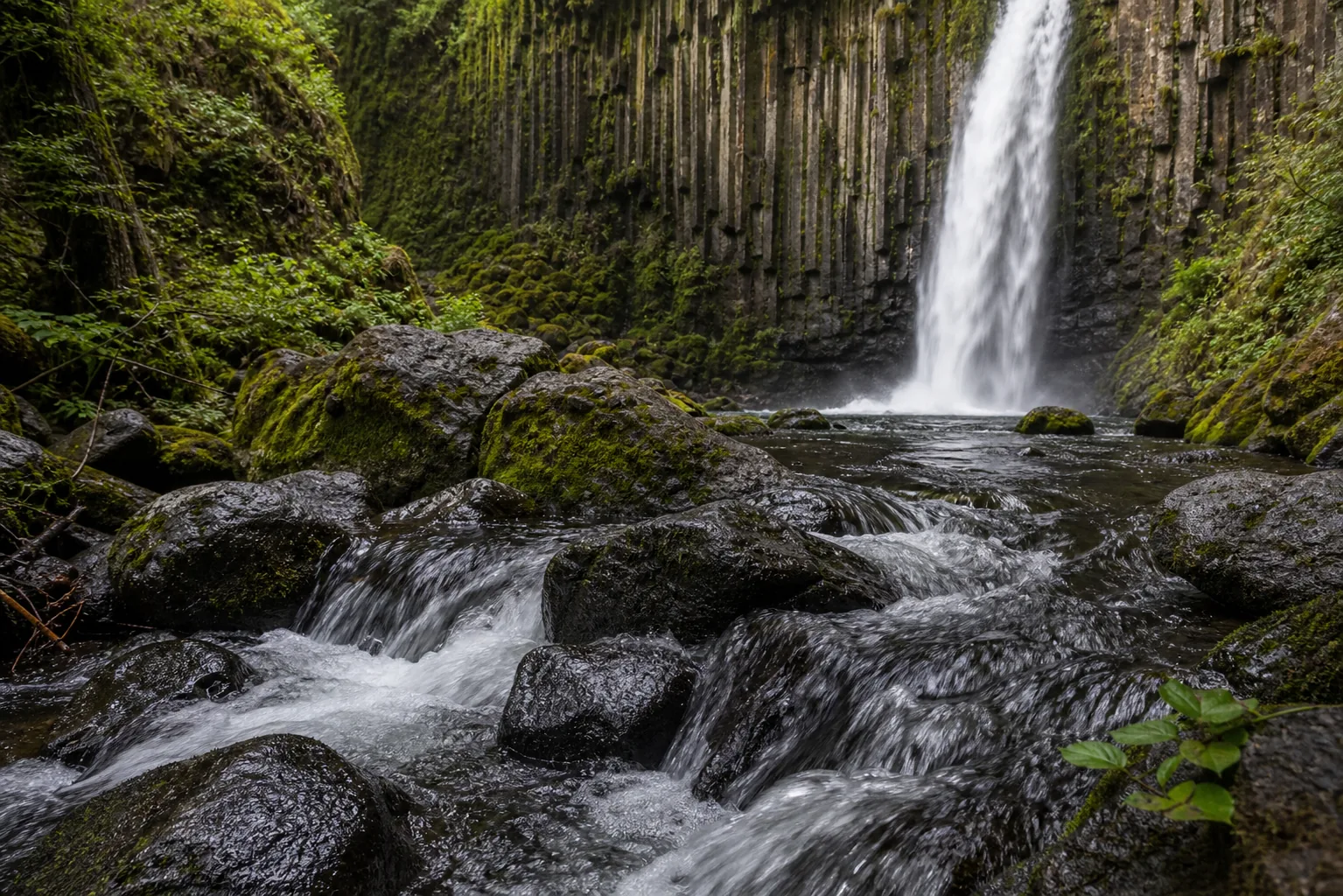 Drift Creek Falls water-and-rock detail on the Tyee sandstone lip