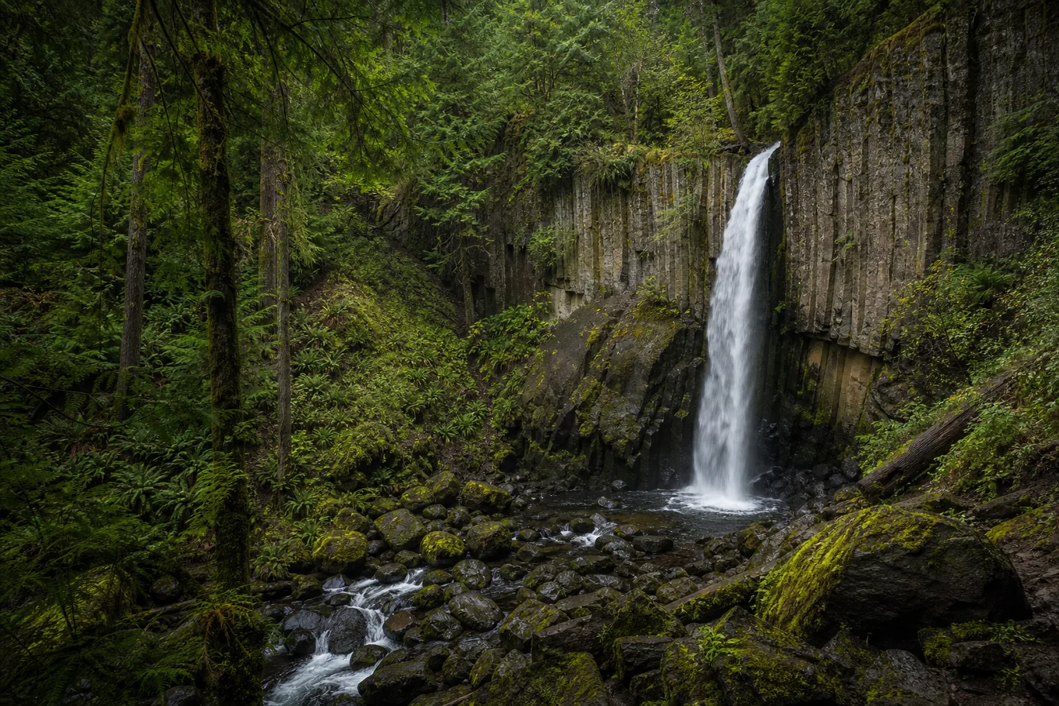 Drift Creek Falls the 240-foot suspension bridge framed by the tyee sandstone gorge, with the 75-foot falls dropping into the slot just downstream of the deck.