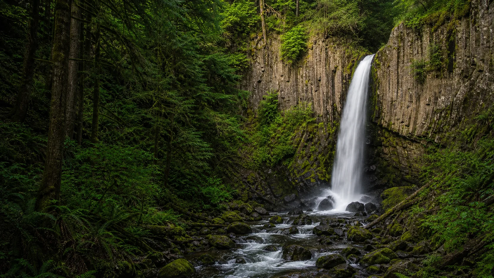 Drift Creek Falls, Lincoln County, Oregon