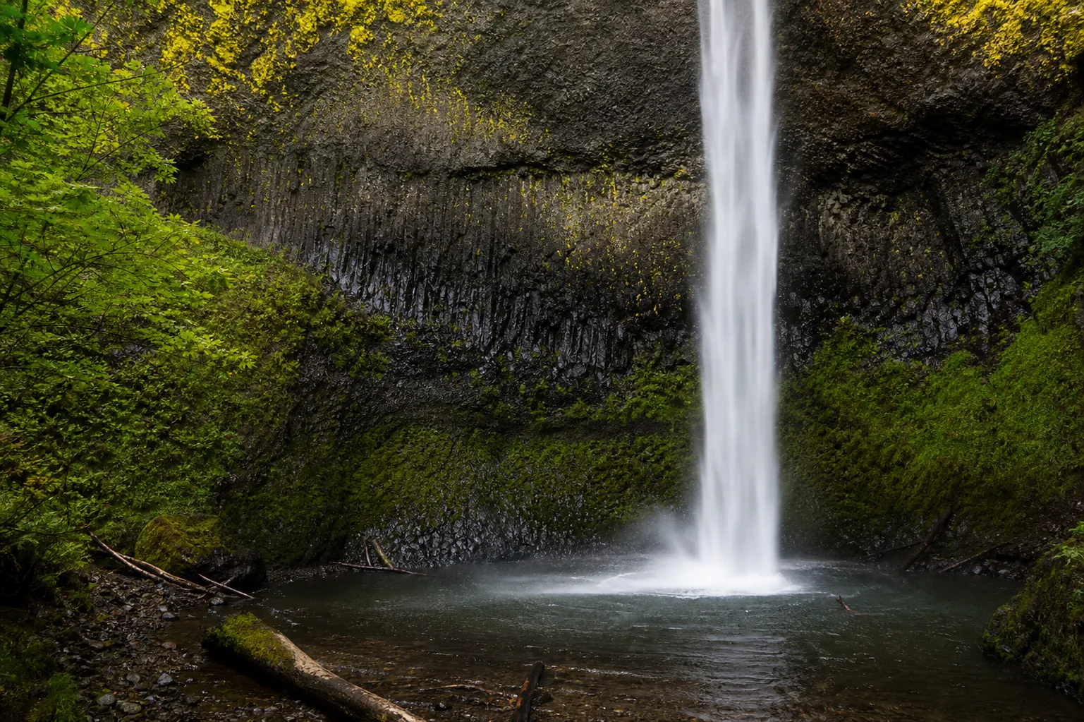 Latourell Falls splash pool and full 249-foot curtain framed against the lichen-streaked back wall