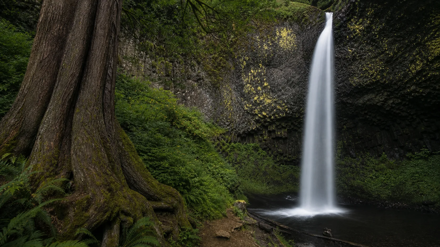 Latourell Falls