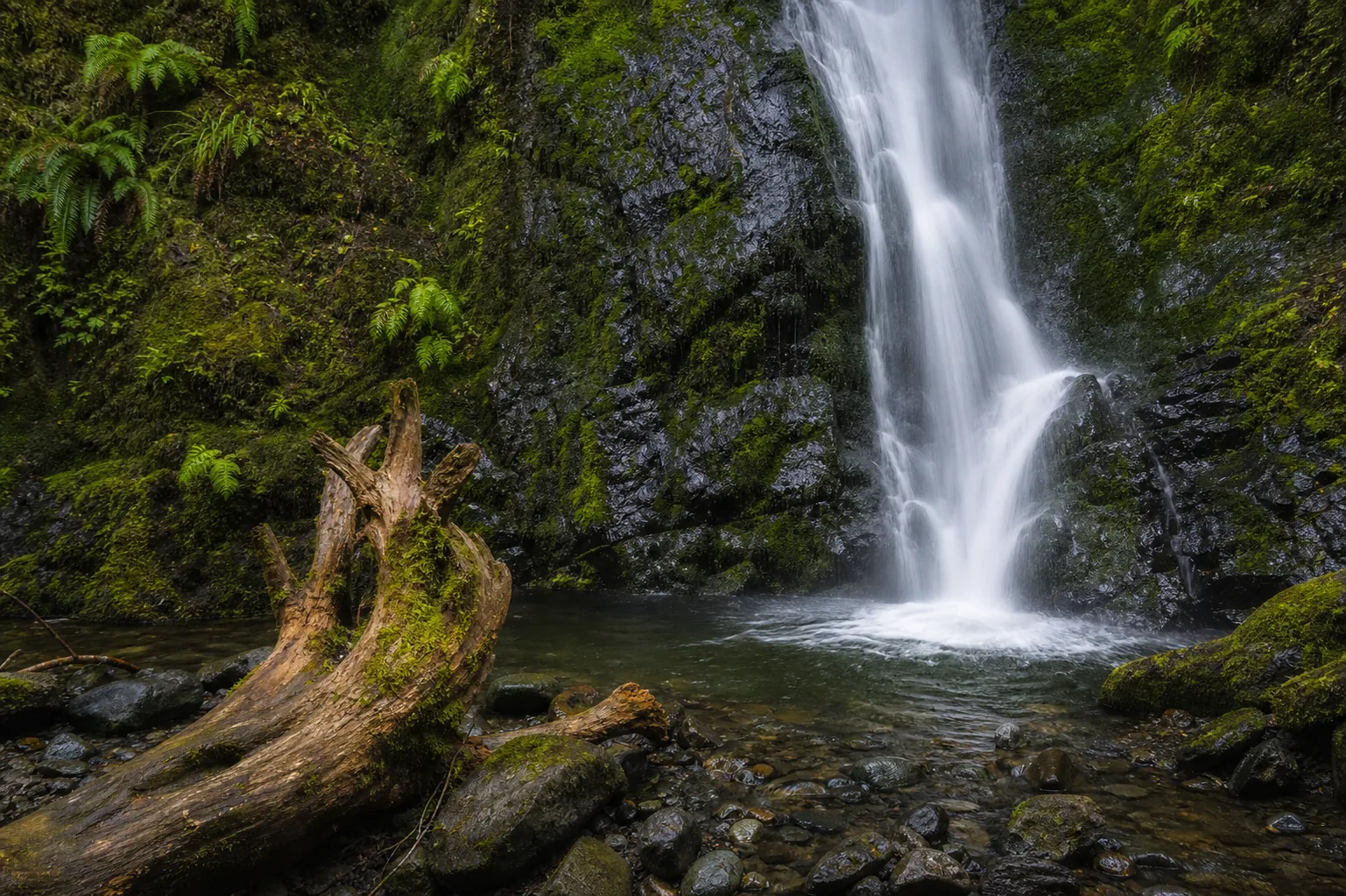 Madison Creek Falls base of the madison creek falls horsetail with mossy basalt step in the elwha valley