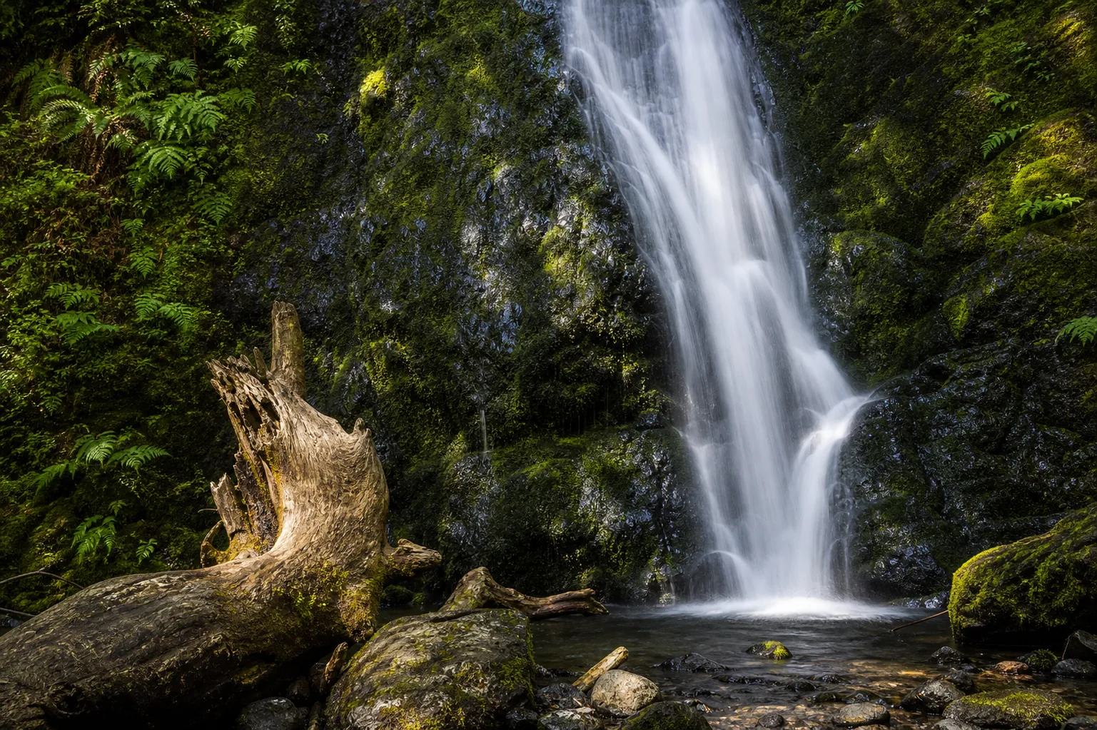 Detail of Madison Creek Falls water threading over textured Crescent basalt and Pacific Northwest moss