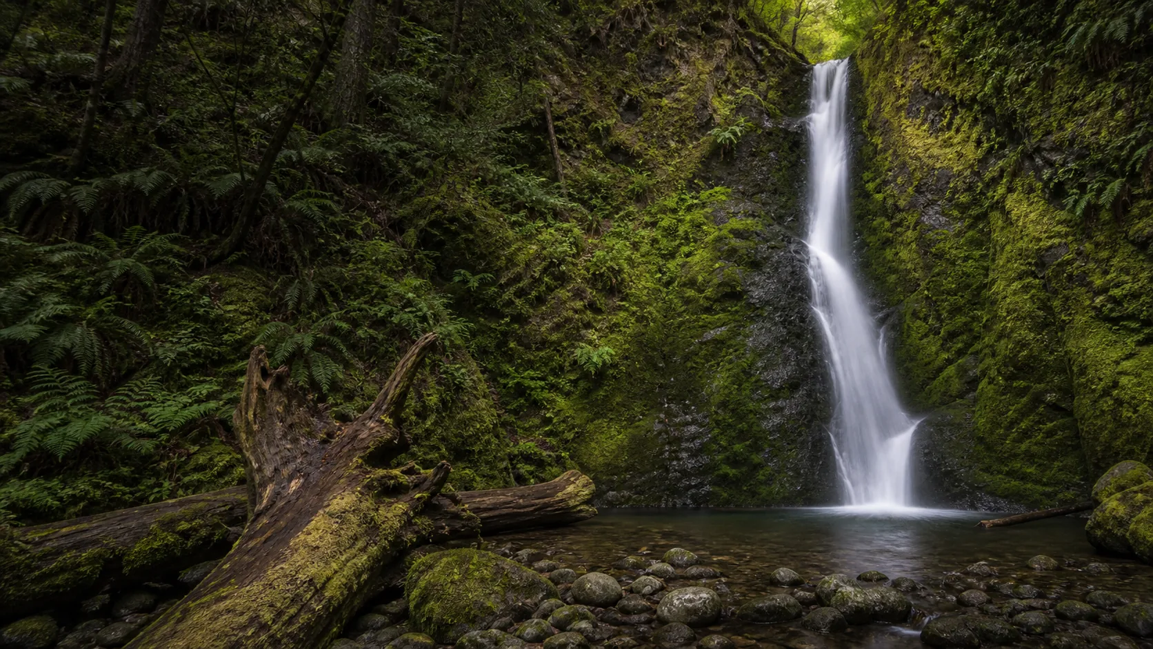 Madison Creek Falls, Port Angeles, Washington
