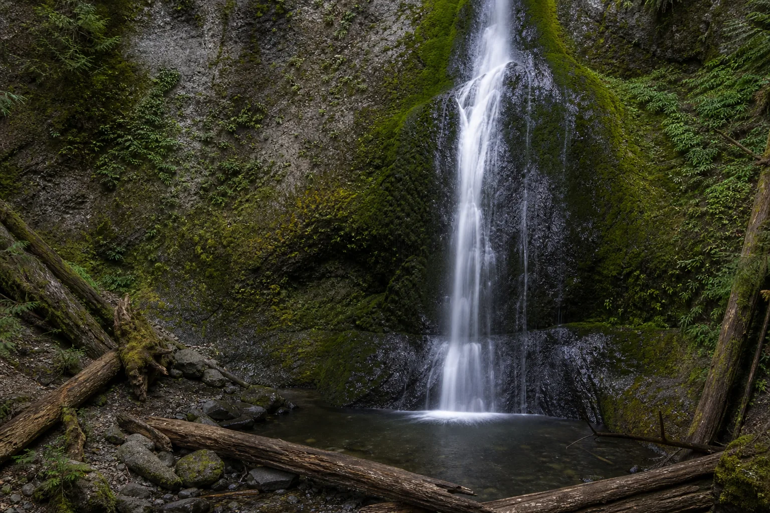 Marymere Falls water fans across basalt of the crescent formation into a shallow plunge pool
