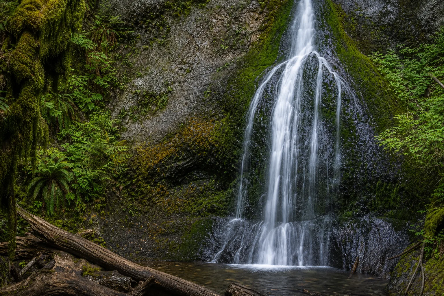 Marymere Falls horsetail detail showing water in contact with the rock face
