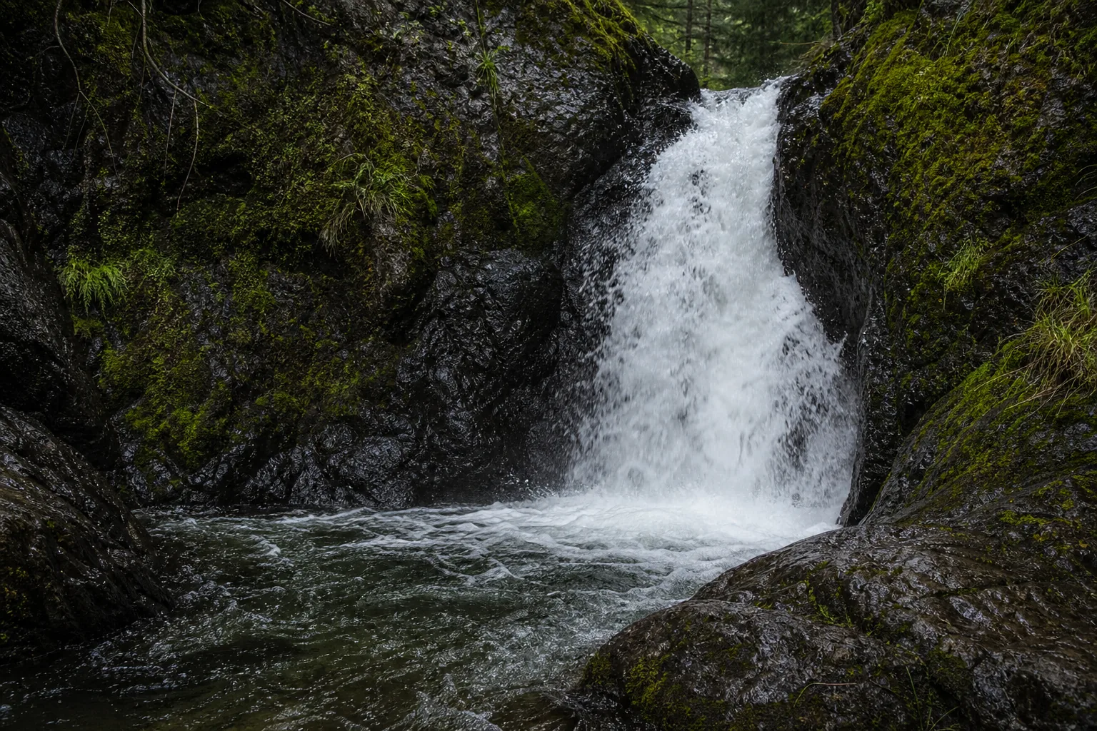 Moose Falls base and plunge pool, looking up at the 30-foot drop