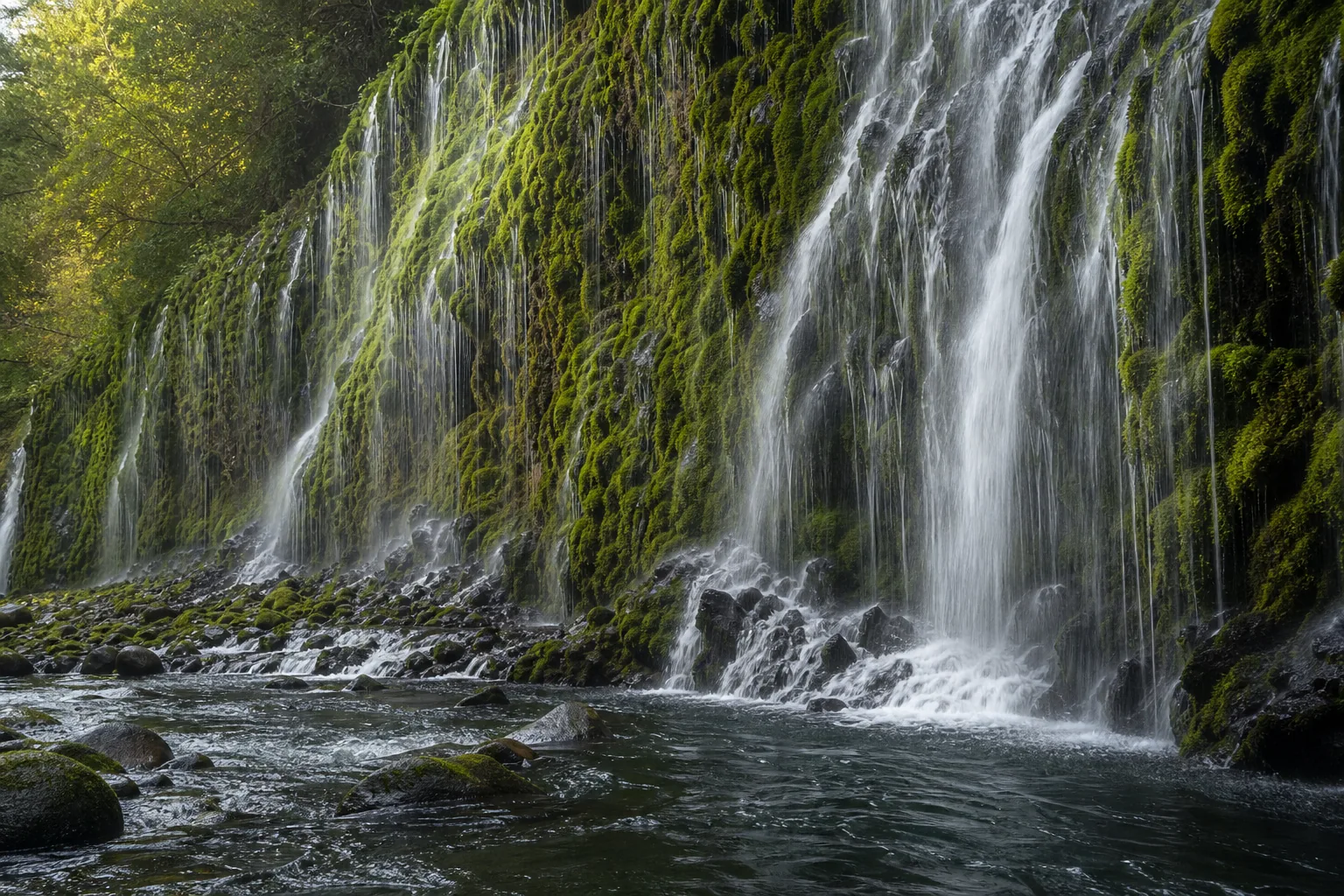 Mossbrae Falls springs emerge directly from the basalt and slide over a mossy ledge into the sacramento river