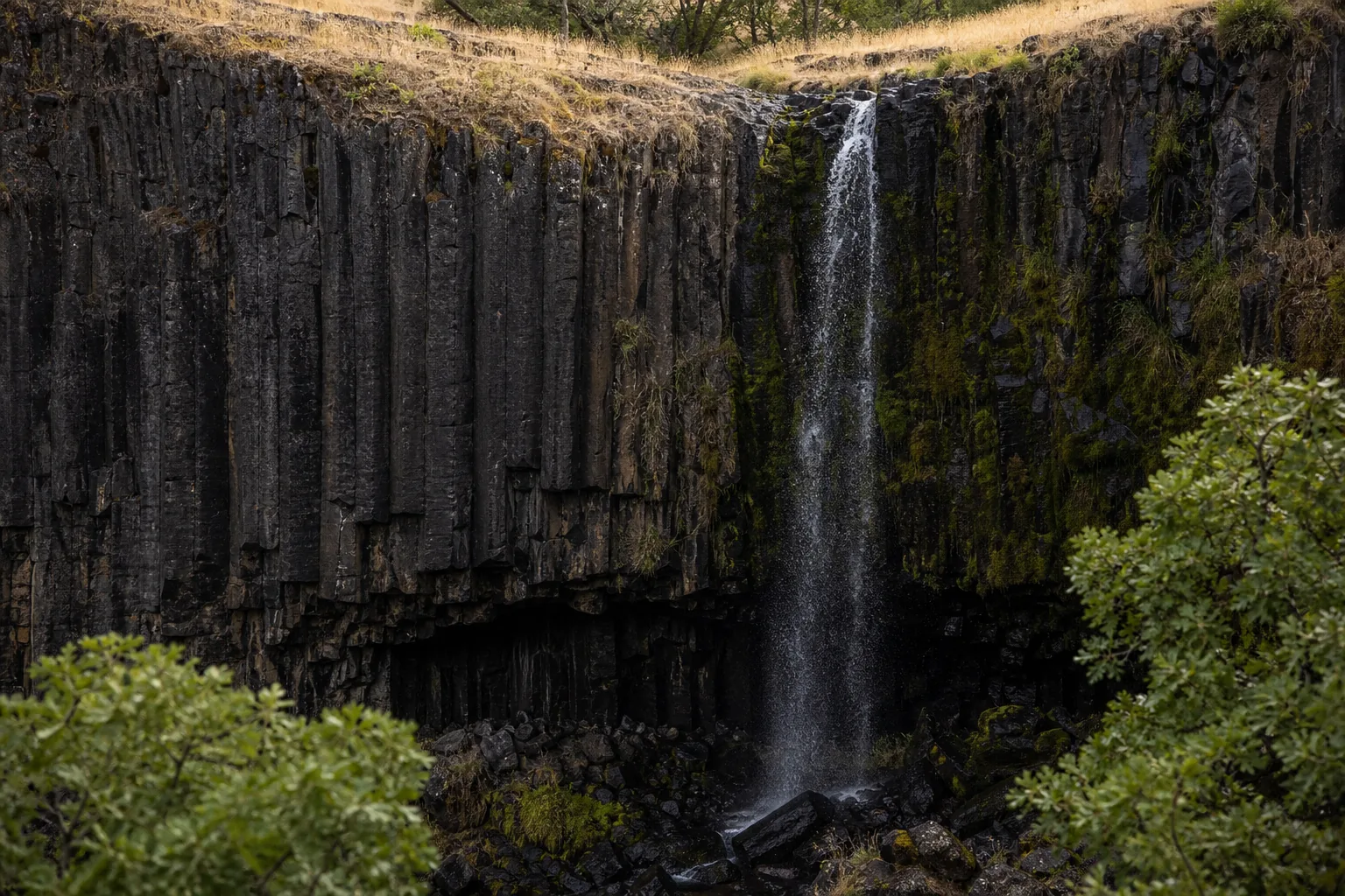 Detail of columnar basalt and the upper lip of Phantom Falls