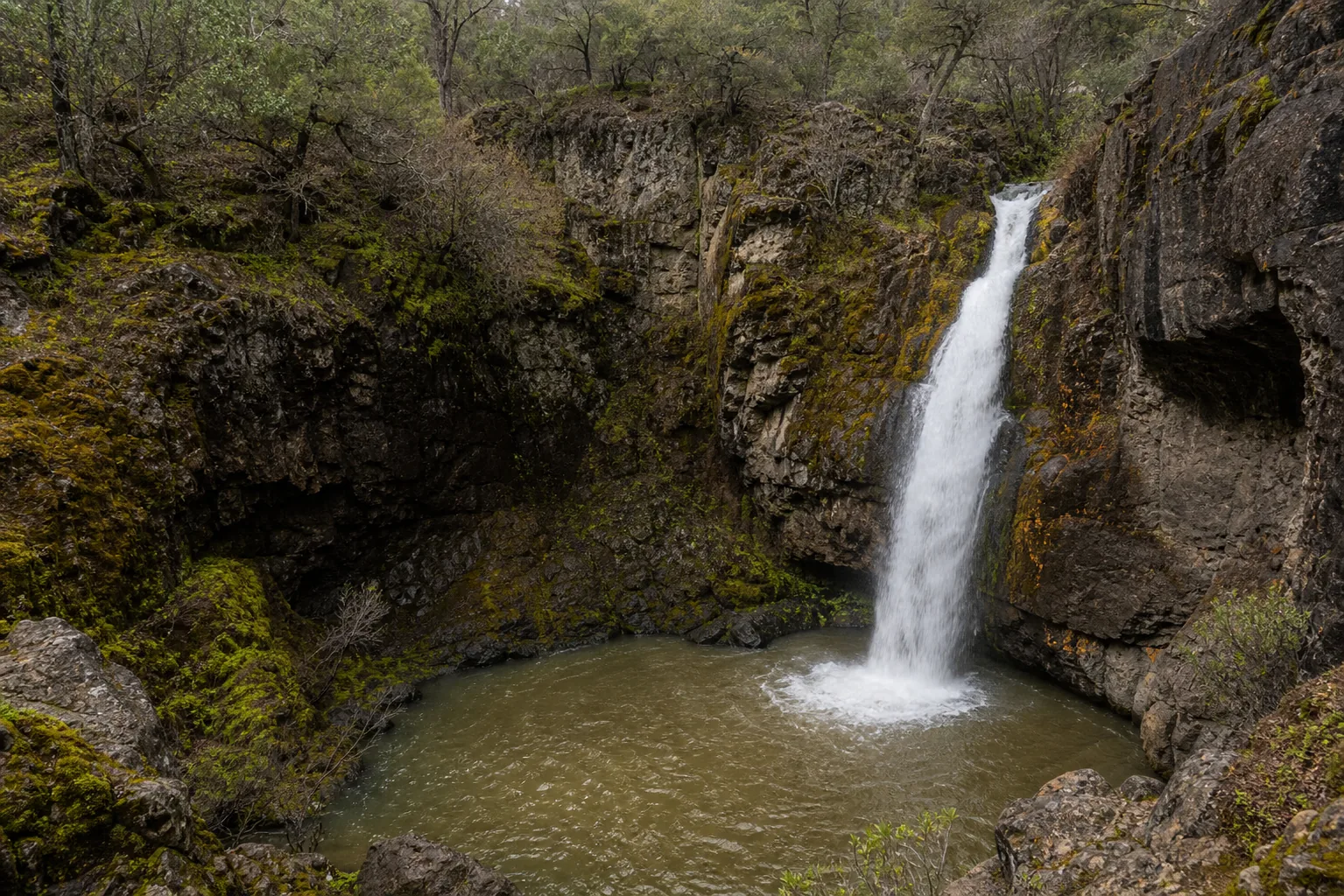 Potem Falls the 70-foot single-tier plunge and the teal pool from across the creek