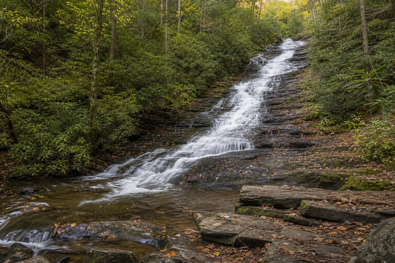 Roaring Fork Falls wide cove view of the 100-foot stairstep cascade in its hemlock and rhododendron walls