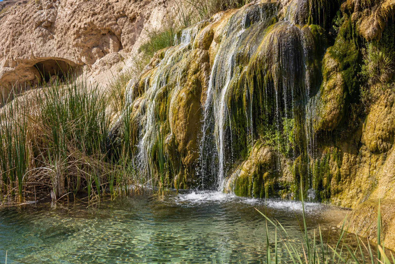 Sitting Bull Falls spring-fed pool at the base of the falls