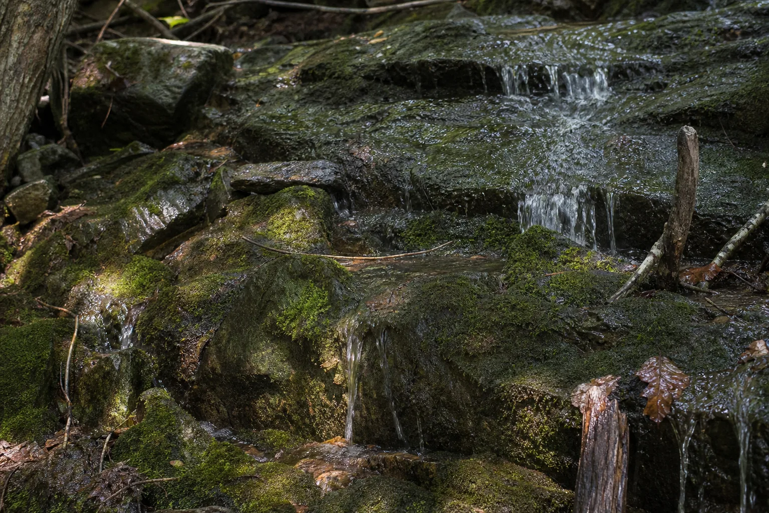 Spirit Falls water-and-rock detail showing fluted bedrock and hemlock duff at the brook edge