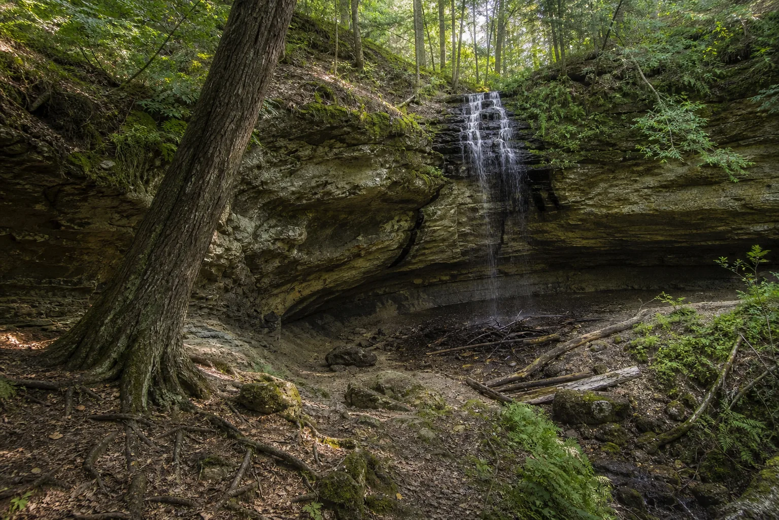 Tannery Falls wide setting view