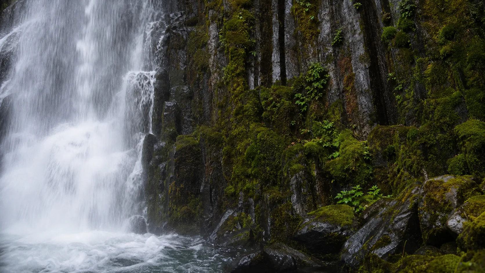 Toketee Falls water and rock detail