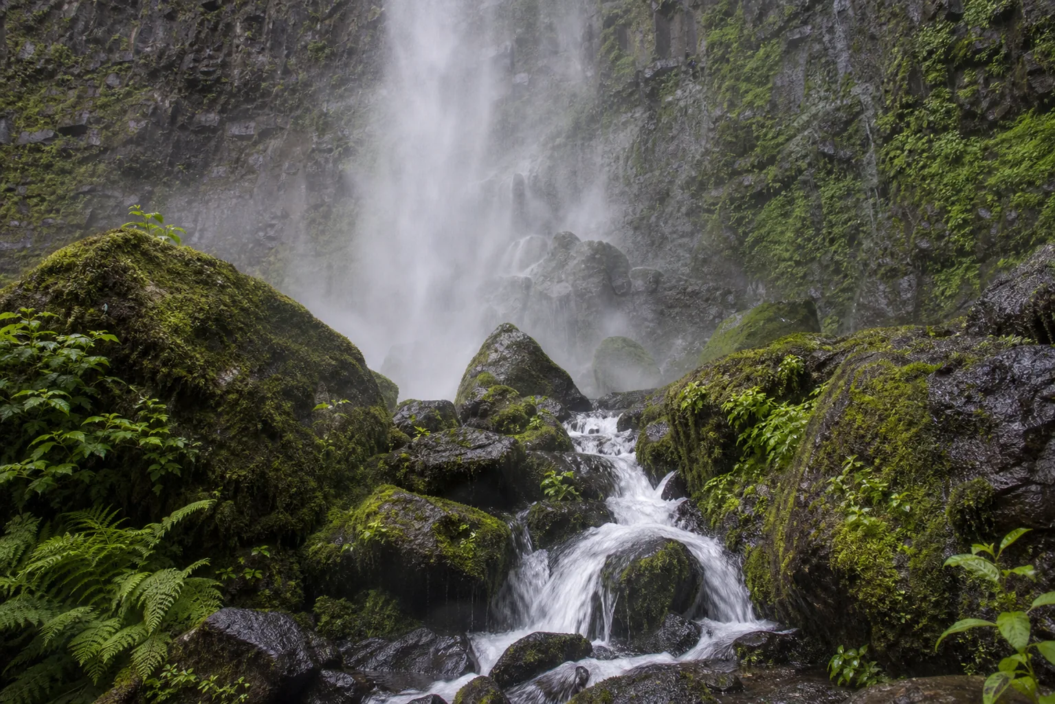 Watson Falls upper cliff detail showing columnar-jointed Western Cascades andesite with white water tracing the basalt face below