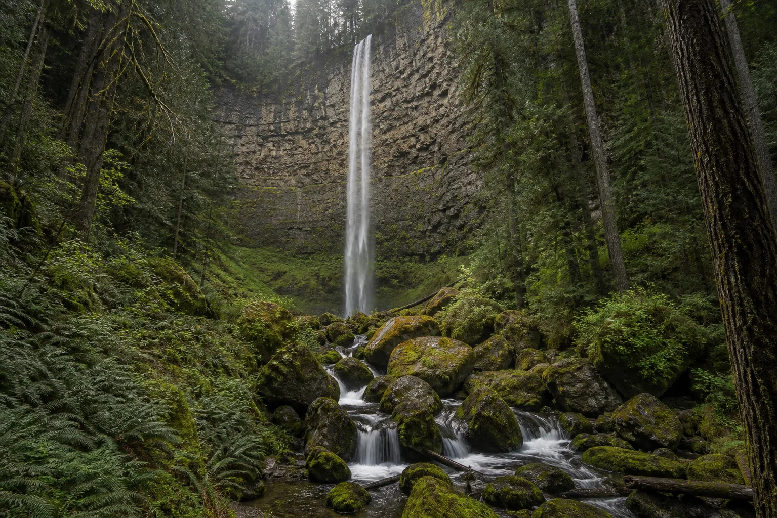 Watson Falls wide setting view: 272-foot single plunge over the western cascades andesite cap